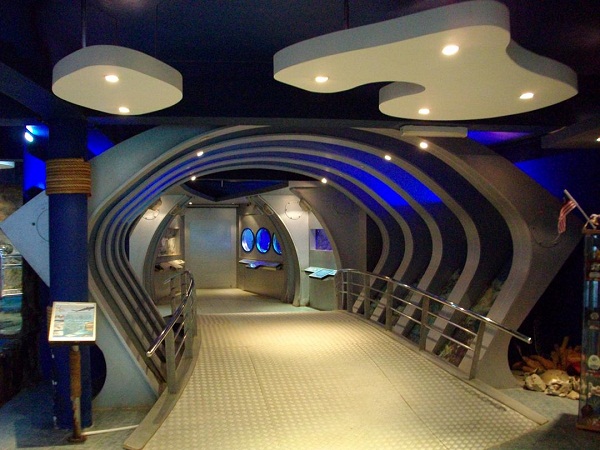 Ruangan dalam Muzium Biologi Marina.
